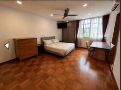 Holland Grove Road (D10), Terrace #602748071